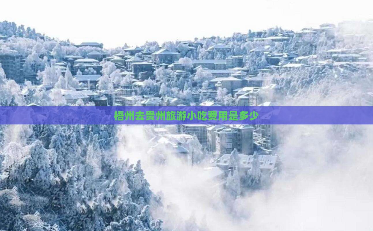 梧州去贵州旅游小吃费用是多少