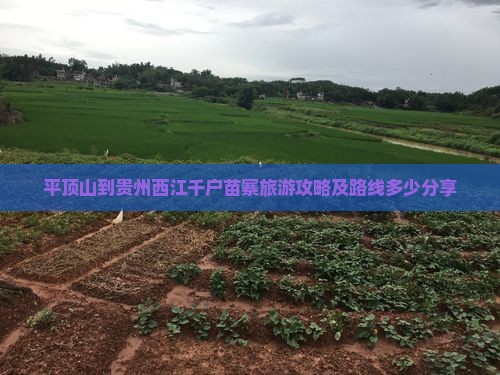平顶山到贵州西江千户苗寨旅游攻略及路线多少分享