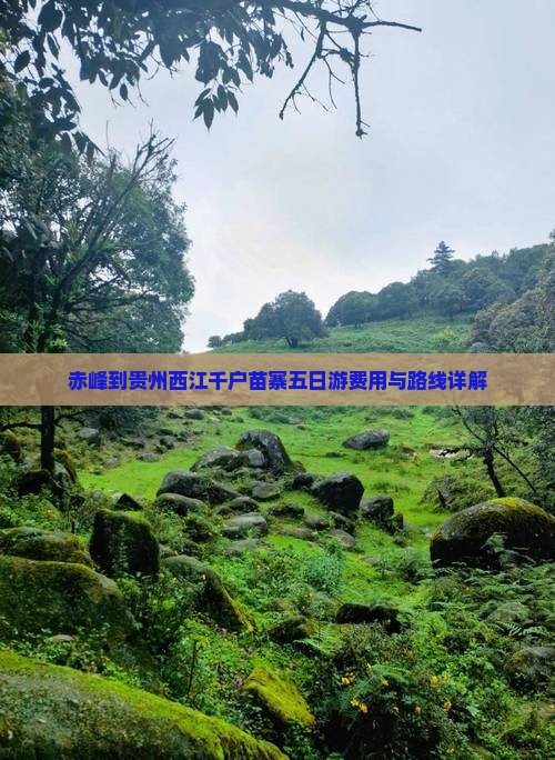 赤峰到贵州西江千户苗寨五日游费用与路线详解