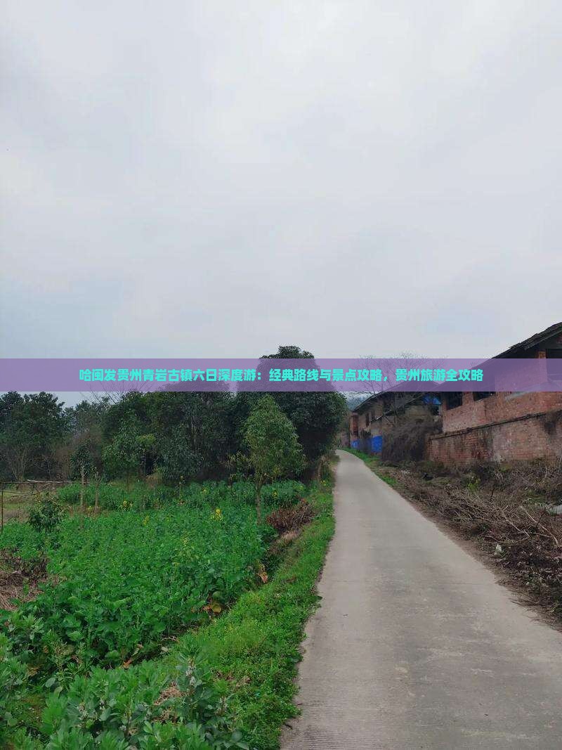 哈闽发贵州青岩古镇六日深度游：经典路线与景点攻略，贵州旅游全攻略