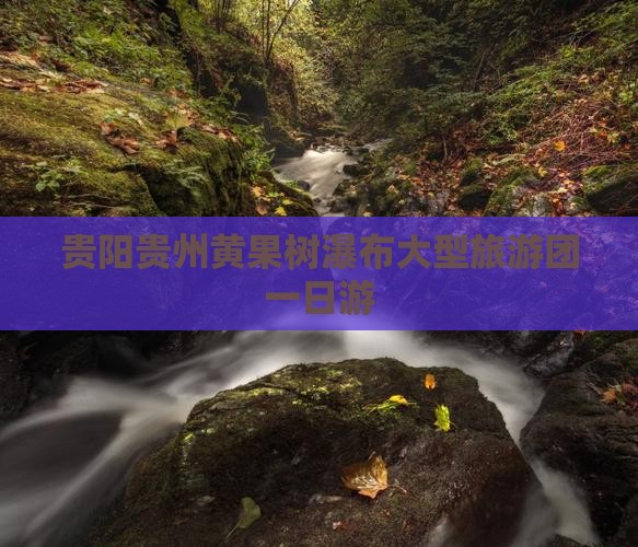 贵阳贵州黄果树瀑布大型旅游团一日游