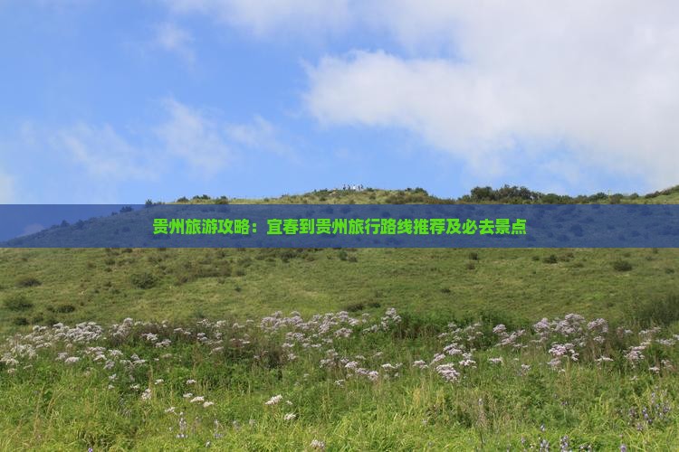 贵州旅游攻略：宜春到贵州旅行路线推荐及必去景点