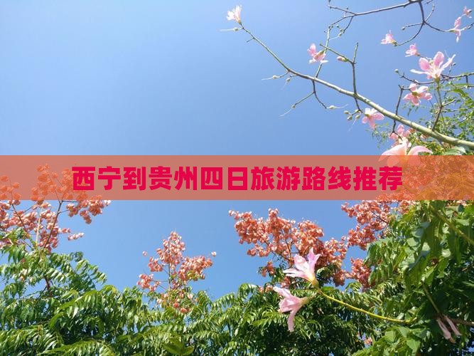 西宁到贵州四日旅游路线推荐