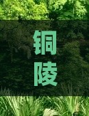 铜陵出发前往贵州青岩古镇的一日游攻略