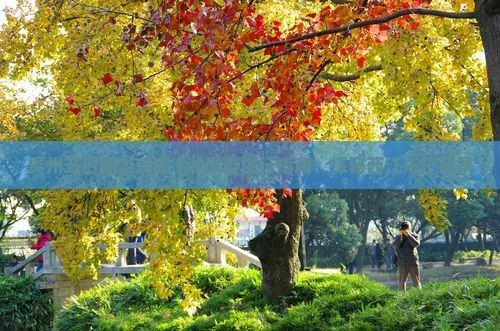 贵州五日旅游攻略 | 湘潭自由行指南：探秘西江千户苗寨
