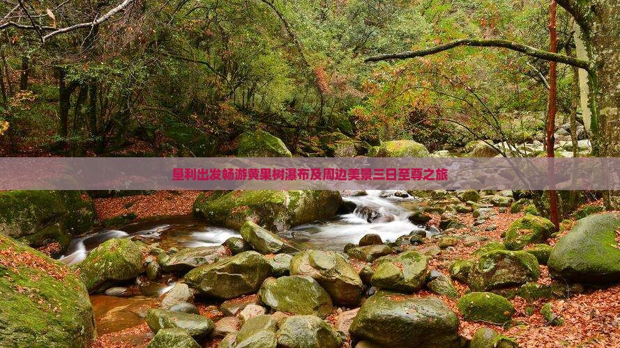 垦利出发畅游黄果树瀑布及周边美景三日至尊之旅