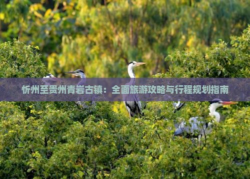 忻州至贵州青岩古镇：全面旅游攻略与行程规划指南