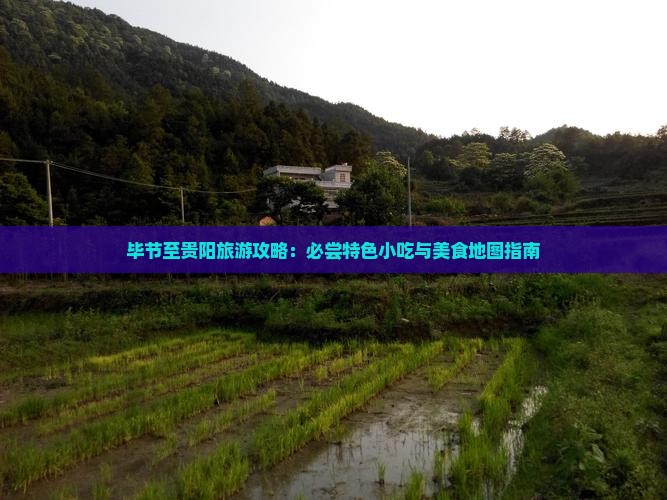 毕节至贵阳旅游攻略：必尝特色小吃与美食地图指南