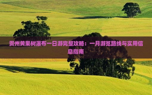 贵州黄果树瀑布一日游完整攻略：一月游览路线与实用信息指南