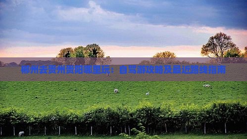 郴州去贵州贵阳哪里玩：自驾游攻略及最近路线指南
