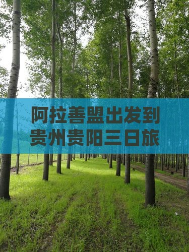 阿拉善盟出发到贵州贵阳三日旅游攻略