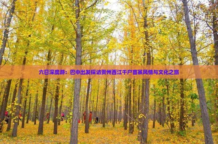 六日深度游：巴中出发探访贵州西江千户苗寨风情与文化之旅