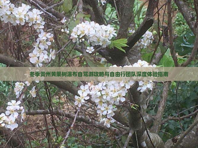 冬季贵州黄果树瀑布自驾游攻略与自由行团队深度体验指南