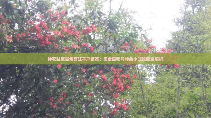 神农架至贵州西江千户苗寨：美食探秘与特色小吃攻略全解析