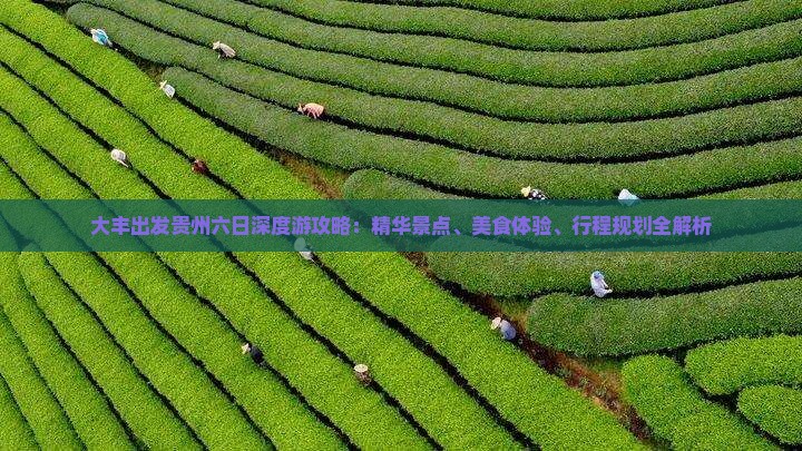 大丰出发贵州六日深度游攻略：精华景点、美食体验、行程规划全解析