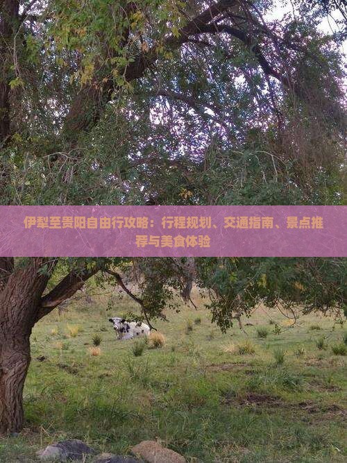 伊犁至贵阳自由行攻略：行程规划、交通指南、景点推荐与美食体验