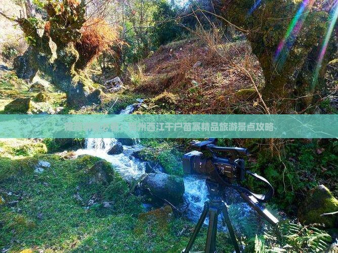 鹰潭游客必看：贵州西江千户苗寨精品旅游景点攻略