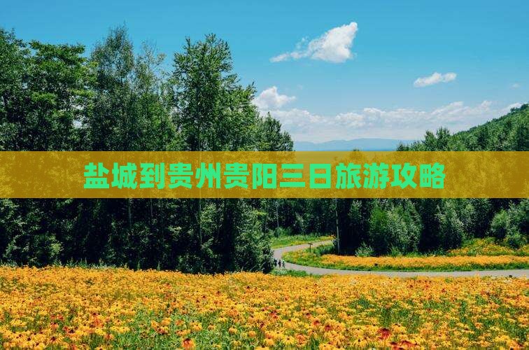 盐城到贵州贵阳三日旅游攻略