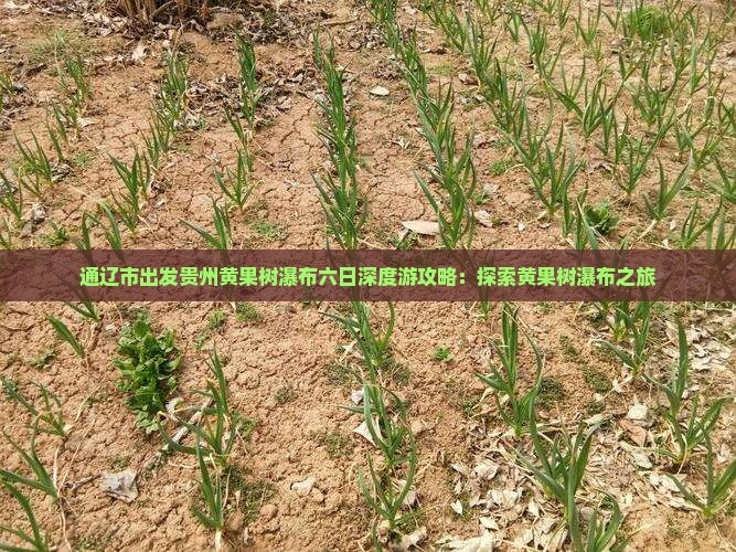 通辽市出发贵州黄果树瀑布六日深度游攻略：探索黄果树瀑布之旅