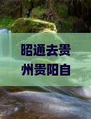 昭通去贵州贵阳自由团