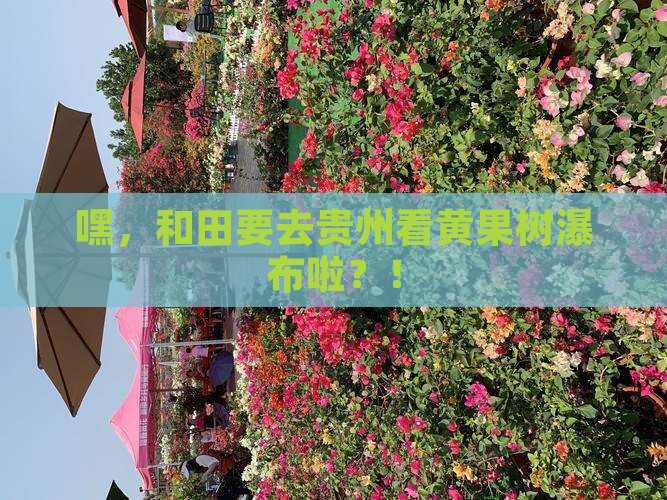 和田去贵州黄果树瀑布景点 和田去贵州黄果树瀑布景点