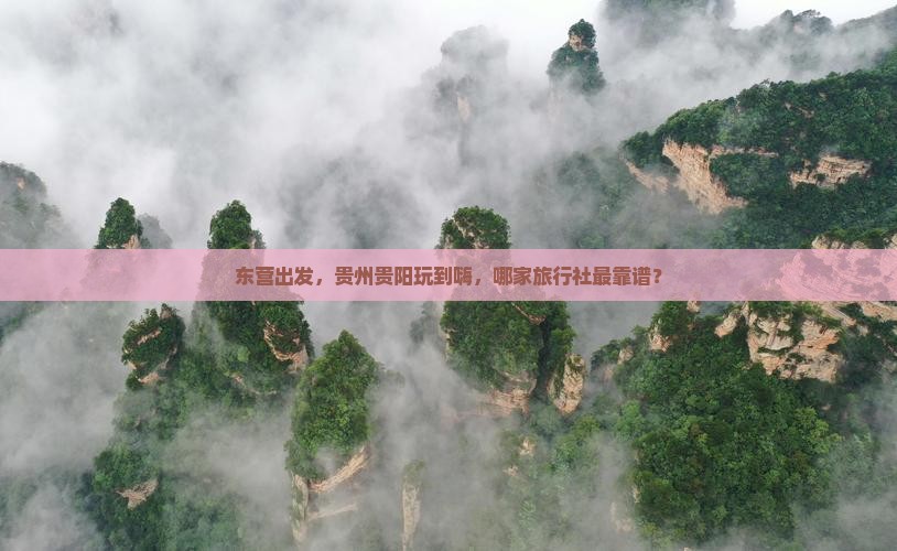 东营去贵州贵阳旅行社