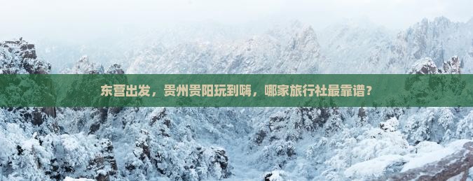 东营去贵州贵阳旅行社