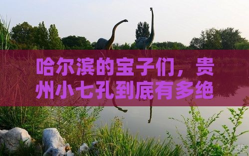 哈尔滨到贵州小七孔景点