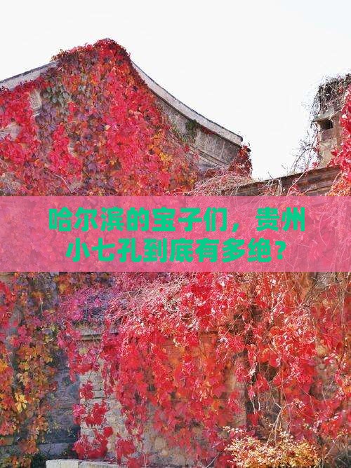 哈尔滨到贵州小七孔景点