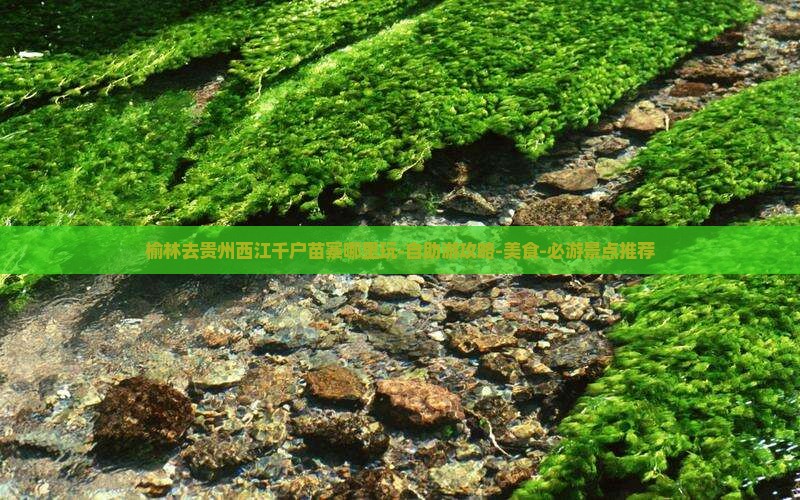 榆林去贵州西江千户苗寨哪里玩