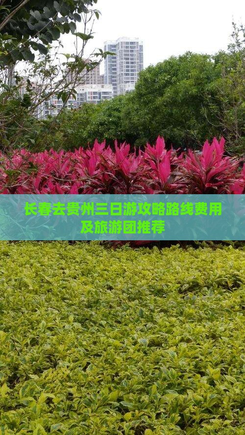 长春去贵州三日游