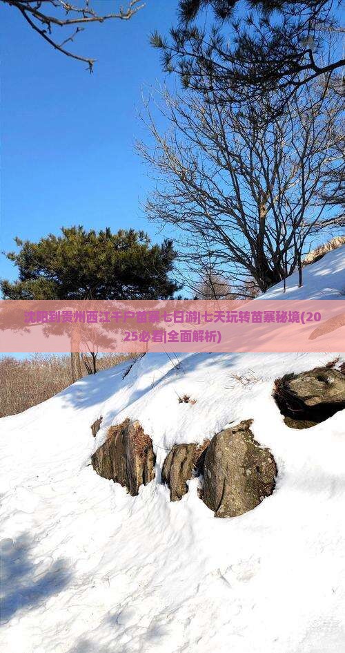 沈阳到贵州西江千户苗寨七日游