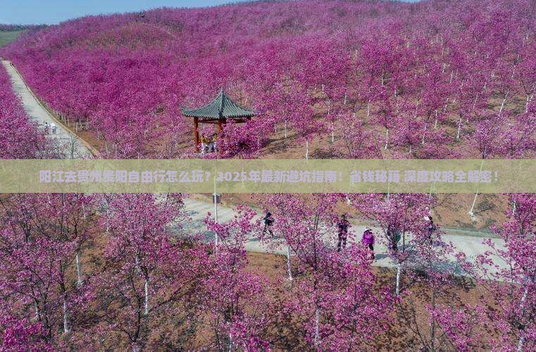 阳江去贵州贵阳自由行