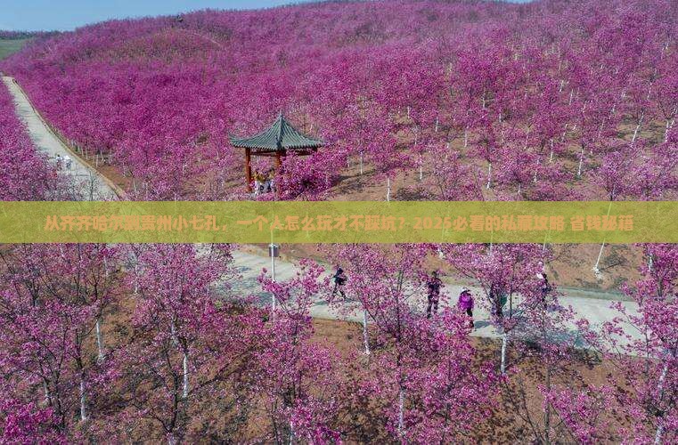齐齐哈尔去贵州小七孔个人游