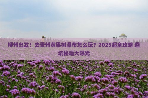 柳州去贵州黄果树瀑布景点