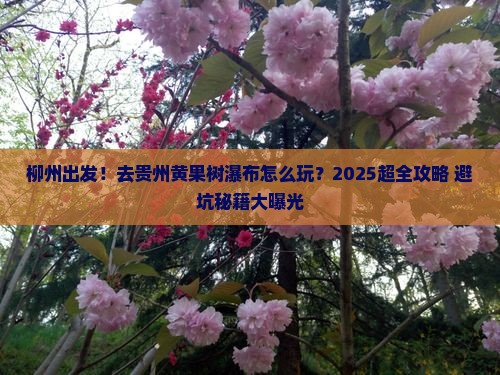 柳州去贵州黄果树瀑布景点
