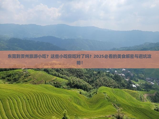 东莞到贵州旅游小吃