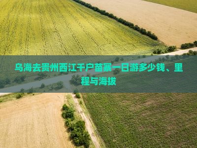 乌海去贵州西江千户苗寨一日游多少钱、里程与海拔