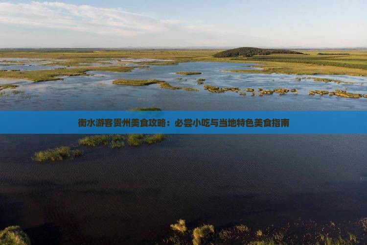衡水游客贵州美食攻略：必尝小吃与当地特色美食指南