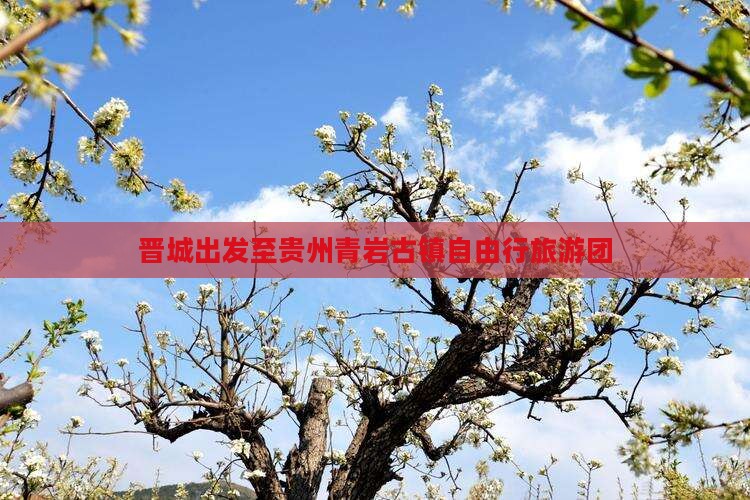 晋城出发至贵州青岩古镇自由行旅游团