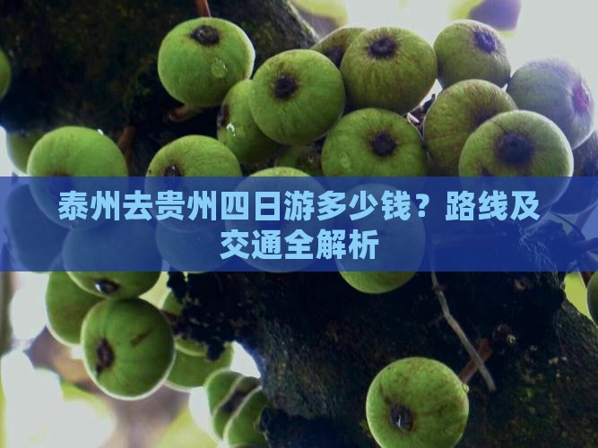 泰州去贵州四日游多少钱？路线及交通全解析