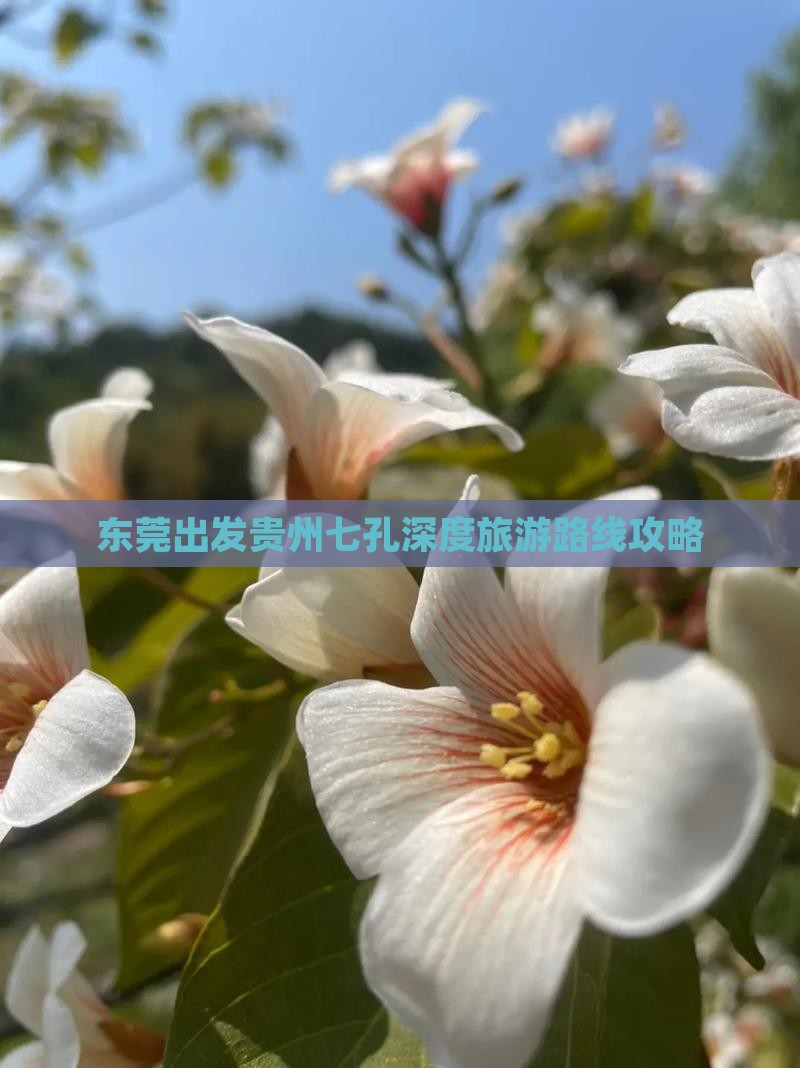 东莞出发贵州七孔深度旅游路线攻略