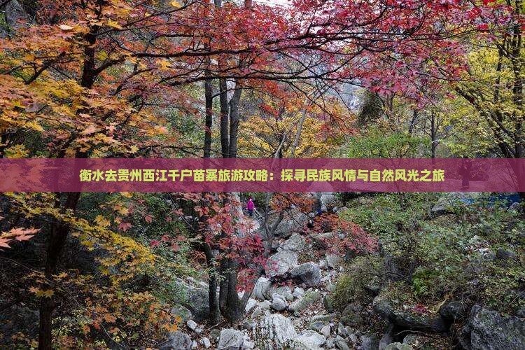 衡水去贵州西江千户苗寨旅游攻略：探寻民族风情与自然风光之旅