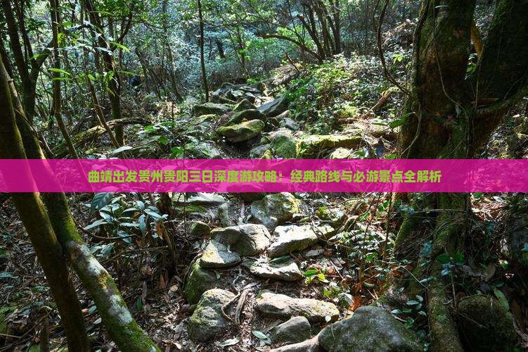 曲靖出发贵州贵阳三日深度游攻略：经典路线与必游景点全解析