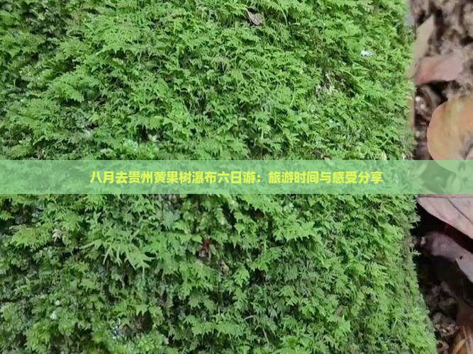 八月去贵州黄果树瀑布六日游：旅游时间与感受分享