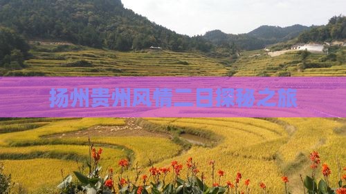 扬州贵州风情二日探秘之旅