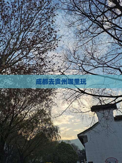 成都去贵州哪里玩