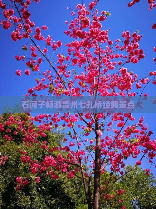 石河子畅游贵州七孔桥经典景点