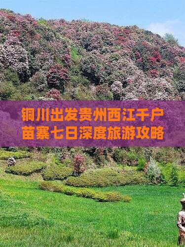 铜川出发贵州西江千户苗寨七日深度旅游攻略
