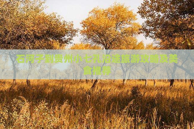 石河子到贵州小七孔沿途旅游攻略及美食推荐